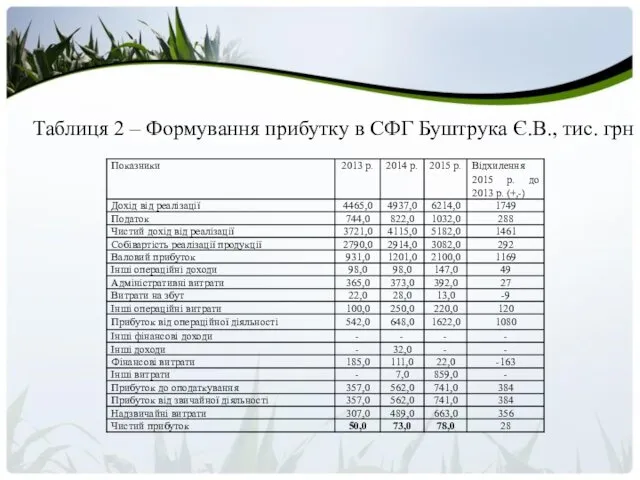 Таблиця 2 – Формування прибутку в СФГ Буштрука Є.В., тис. грн