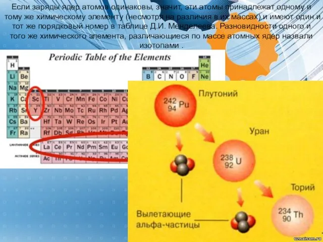Если заряды ядер атомов одинаковы, значит, эти атомы принадлежат одному и