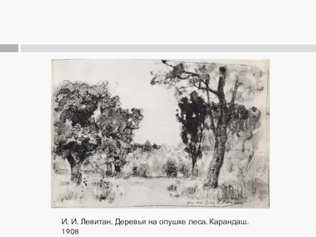 И. И. Левитан. Деревья на опушке леса. Карандаш. 1908