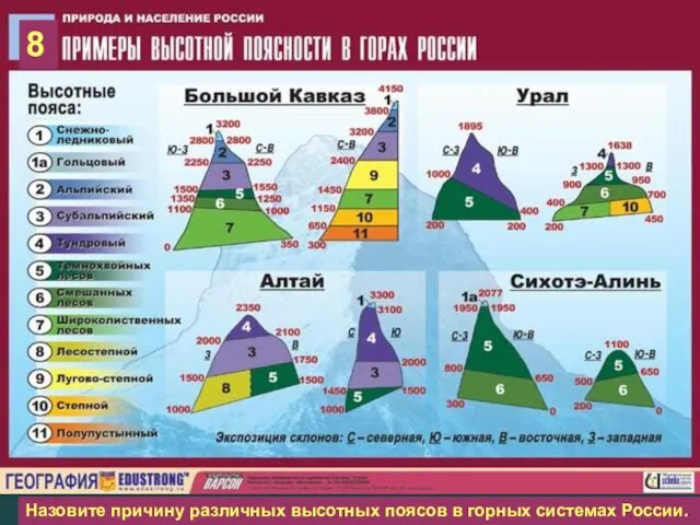 8 Назовите причину различных высотных поясов в горных системах России.