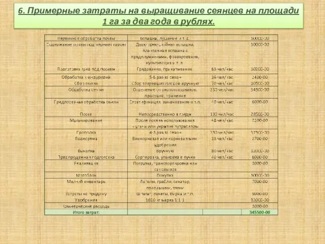 6. Примерные затраты на выращивание сеянцев на площади 1 га за два года в рублях.