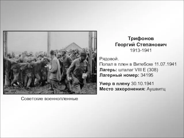 Трифонов Георгий Степанович 1913-1941 Рядовой. Попал в плен в Витебске 11.07.1941