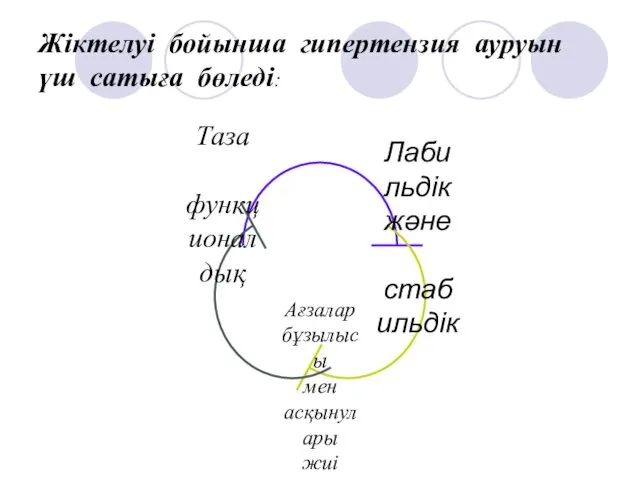 Жіктелуі бойынша гипертензия ауруын үш сатыға бөледі: