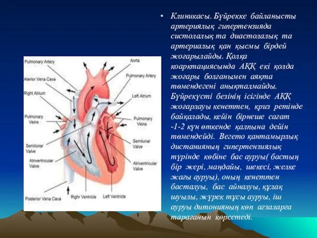 Клиникасы. Бүйрекке байланысты артериялық гипертензияда систолалық та диастолалық та артериалық қан