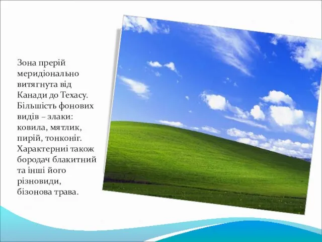 Зона прерій меридіонально витягнута від Канади до Техасу. Більшість фонових видів