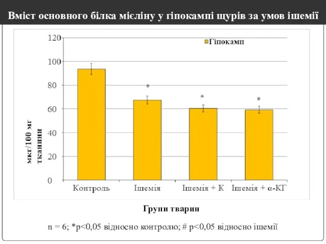Вміст основного білка мієліну у гіпокампі щурів за умов ішемії n = 6; *р Групи тварин