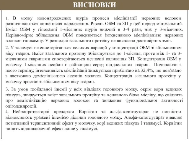 3. За умов глобальної ішемії у всіх відділах головного мозку, окрім