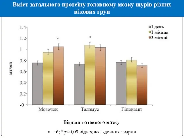 Вміст загального протеїну головному мозку щурів різних вікових груп n = 6; *р Відділи головного мозку