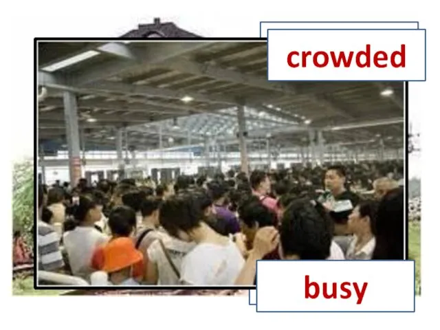 crowded busy crowded busy