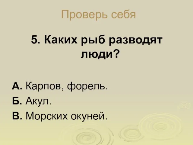 Проверь себя 5. Каких рыб разводят люди? А. Карпов, форель. Б. Акул. В. Морских окуней.