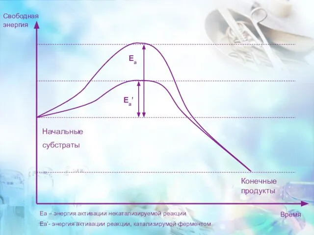 Начальные субстраты Конечные продукты Свободная энергия Время Еа Еа’ Еа –