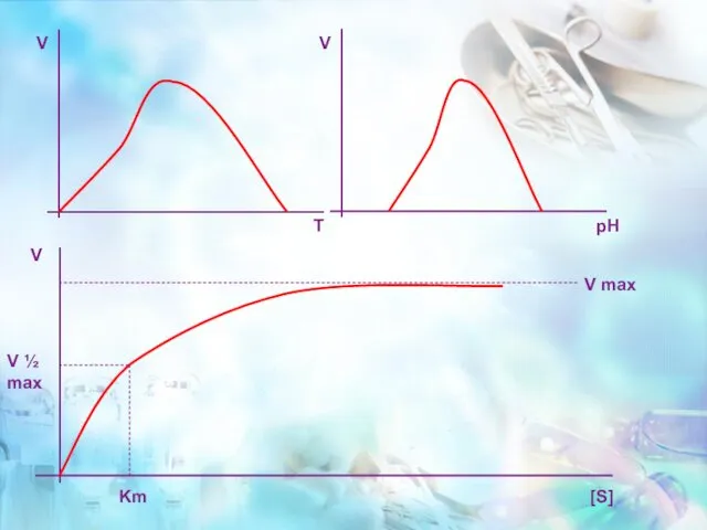 V pH V max V [S] V ½ max Km