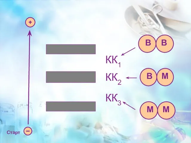 Старт КК1 КК2 КК3