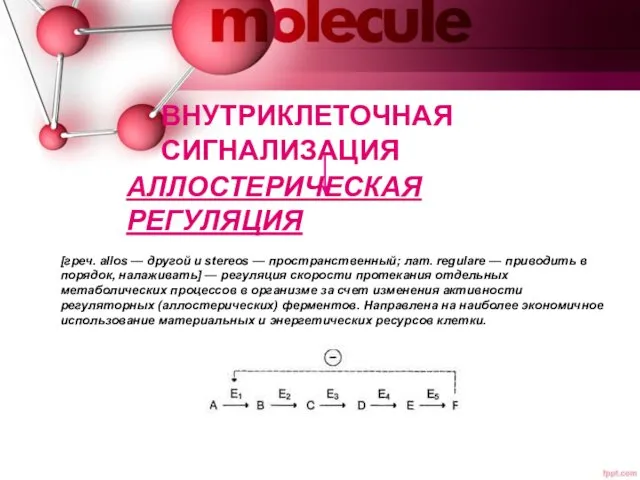 АЛЛОСТЕРИЧЕСКАЯ РЕГУЛЯЦИЯ [греч. allos — другой и stereos — пространственный; лат.