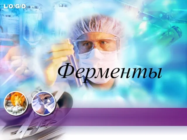 Ферменты