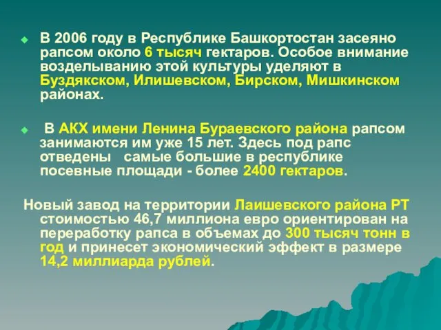В 2006 году в Республике Башкортостан засеяно рапсом около 6 тысяч