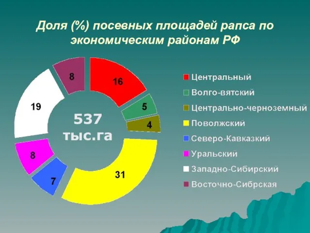 Доля (%) посевных площадей рапса по экономическим районам РФ 537 тыс.га