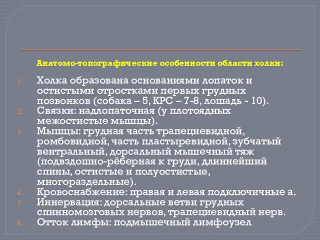 Анатомо-топографические особенности области холки: Холка образована основаниями лопаток и остистыми отростками