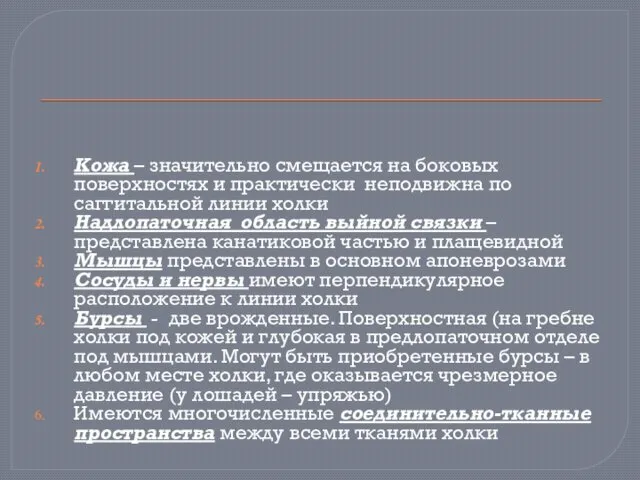 Кожа – значительно смещается на боковых поверхностях и практически неподвижна по