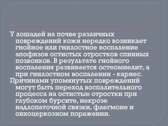 У лошадей на почве различных повреждений кожи нередко возникает гнойное или