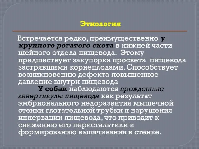 Этиология Встречается редко, преимущественно у крупного рогатого скота в нижней части