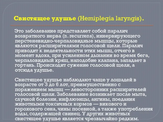 Свистящее удушье (Hemiplegia laryngis). Это заболевание представляет собой паралич возвратного нерва