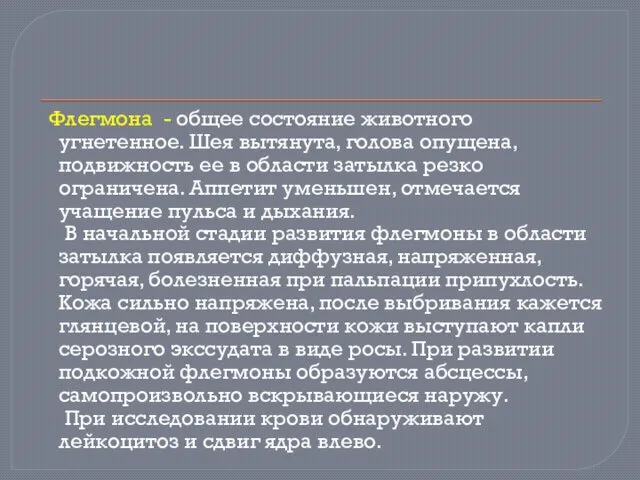 Флегмона - общее состояние животного угнетенное. Шея вытянута, голова опущена, подвижность