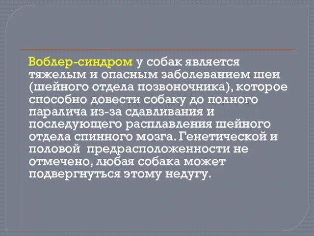 Воблер-синдром у собак является тяжелым и опасным заболеванием шеи (шейного отдела