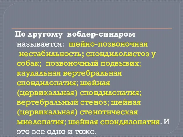 По другому воблер-синдром называется: шейно-позвоночная нестабильность; спондилолистоз у собак; позвоночный подвывих;