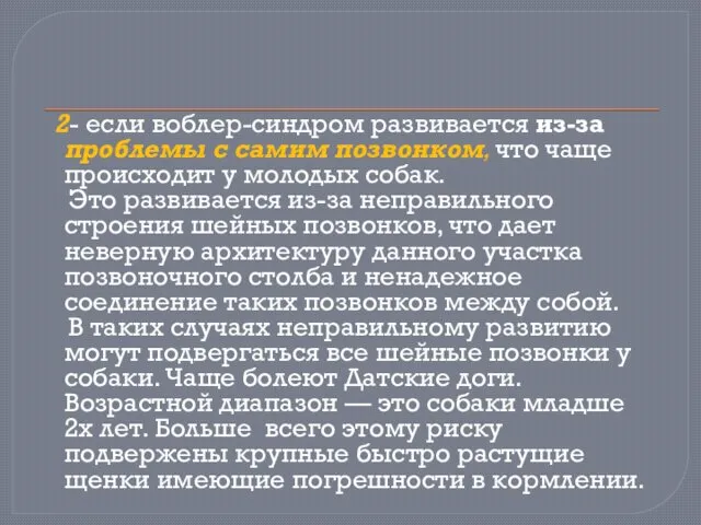 2- если воблер-синдром развивается из-за проблемы с самим позвонком, что чаще