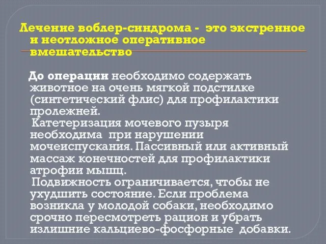 Лечение воблер-синдрома - это экстренное и неотложное оперативное вмешательство До операции