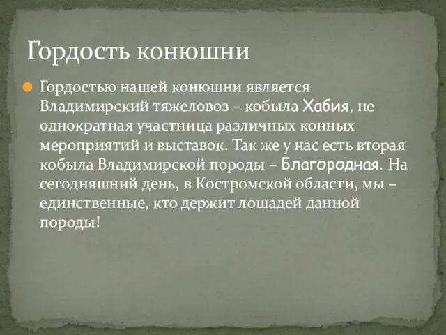 Гордостью нашей конюшни является Владимирский тяжеловоз – кобыла Хабия, не однократная