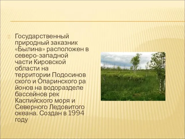 Государственный природный заказник «Былина» расположен в северо-западной части Кировской области на