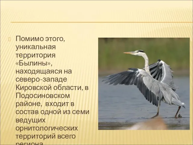 Помимо этого, уникальная территория «Былины», находящаяся на северо-западе Кировской области, в