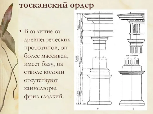 тосканский ордер В отличие от древнегреческих прототипов, он более массивен, имеет
