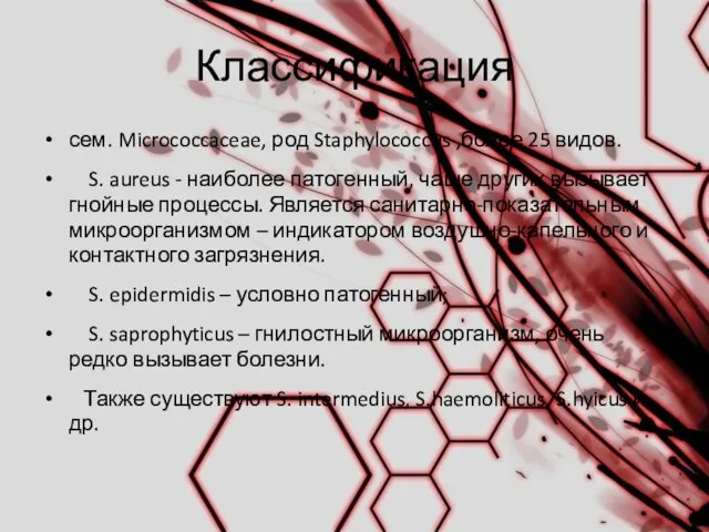 Классификация сем. Micrococcaceae, род Staphylococcus ,более 25 видов. S. aureus -