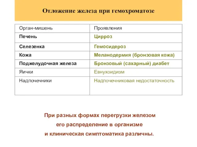 Отложение железа при гемохроматозе При разных формах перегрузки железом его распределение