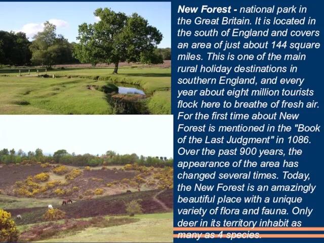 New Forest - national park in the Great Britain. It is