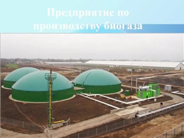Предприятие по производству биогаза