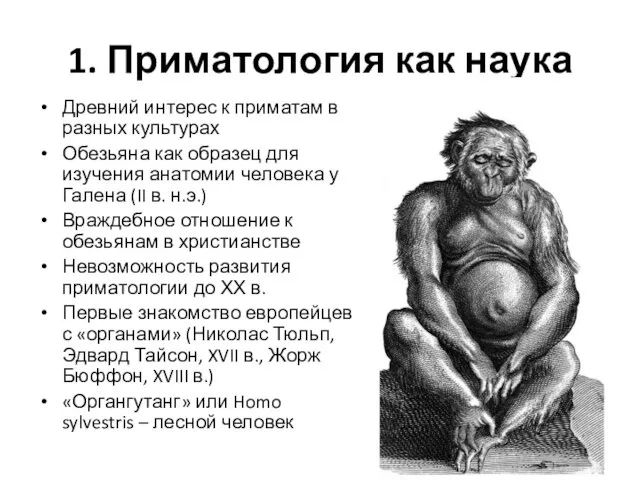 1. Приматология как наука Древний интерес к приматам в разных культурах