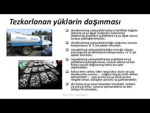 Tezkorlanan yüklərin daşınması dondurulmuş vəziyyətdə balıq iç tərəfdən kağızla (həsirlə və