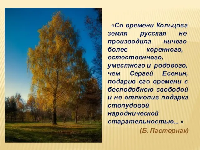 «Со времени Кольцова земля русская не производила ничего более коренного, естественного,