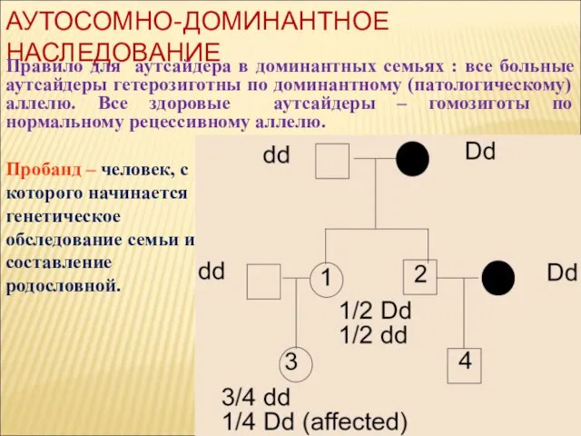 АУТОСОМНО-ДОМИНАНТНОЕ НАСЛЕДОВАНИЕ Правило для аутсайдера в доминантных семьях : все больные