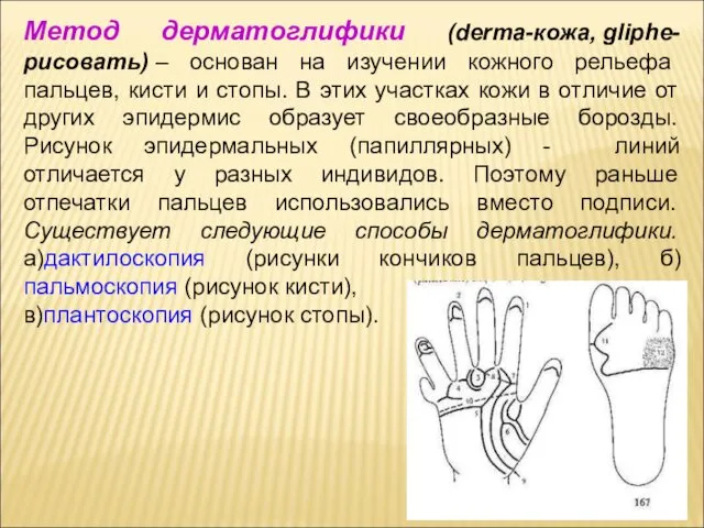 Метод дерматоглифики (derma-кожа, gliphe-рисовать) – основан на изучении кожного рельефа пальцев,