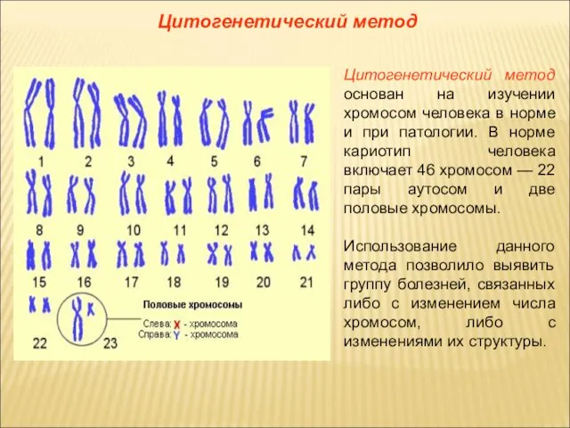 Цитогенетический метод основан на изучении хромосом человека в норме и при