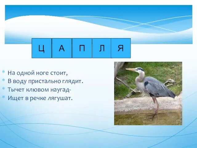 На одной ноге стоит, В воду пристально глядит. Тычет клювом наугад-