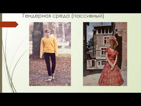 Гендерная среда (пассивный)