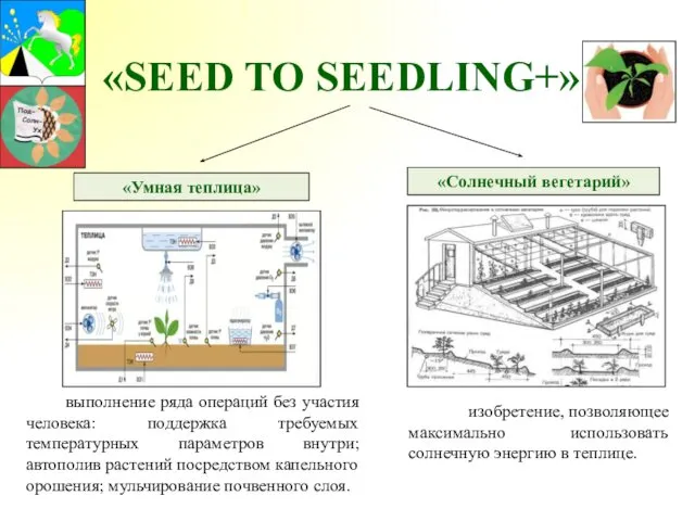 «SEED TO SEEDLING+» «Умная теплица» «Солнечный вегетарий» выполнение ряда операций без