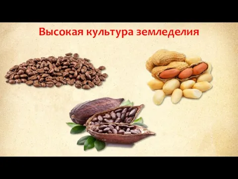 Высокая культура земледелия