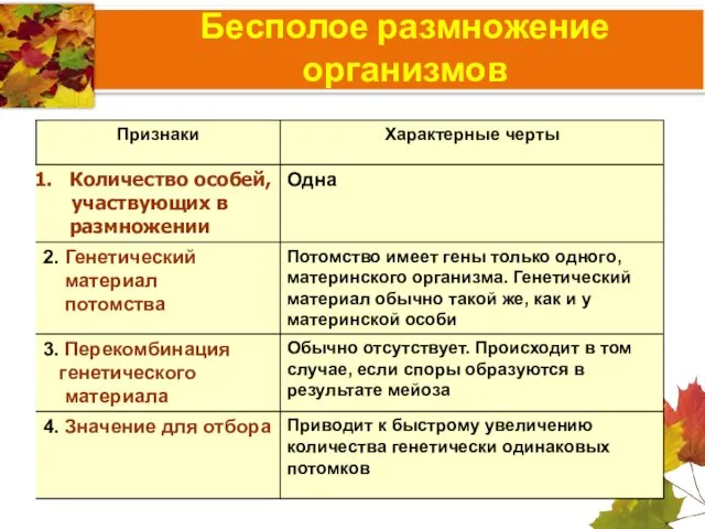 Бесполое размножение организмов